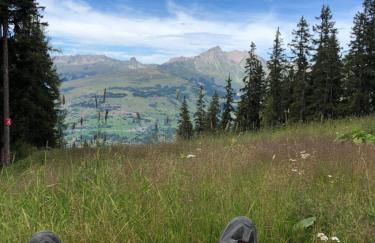 Le Falyoucher - Foto 28