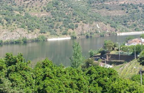 Casa da Padaria - Foto 65