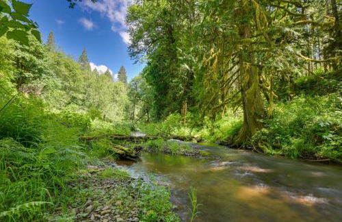 Chehalis Retreat with Scenic Views! - Photo 43