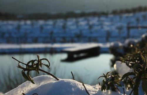 Fattoria San Paolo Agriturismo - Foto 6