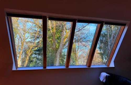Schwarzwald Loft im Grünen - Photo 52