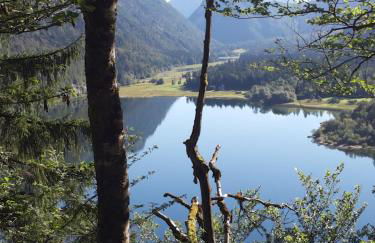 Altes Zuhaus Sachrang - Foto 11