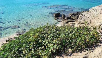 Salento Cecilia - solo settimane intere da sabato a sabato - Foto 2