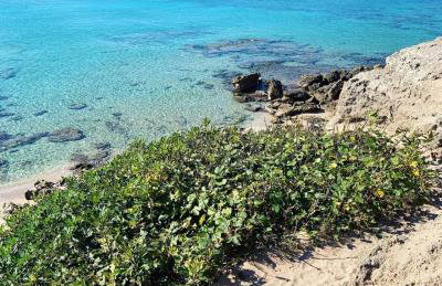 Salento Cecilia - solo settimane intere da sabato a sabato - Foto 2