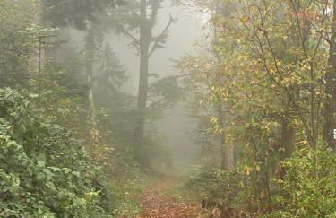 Ausblick apartments - Foto 39