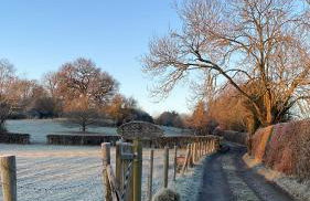 Coach House - Foto 45