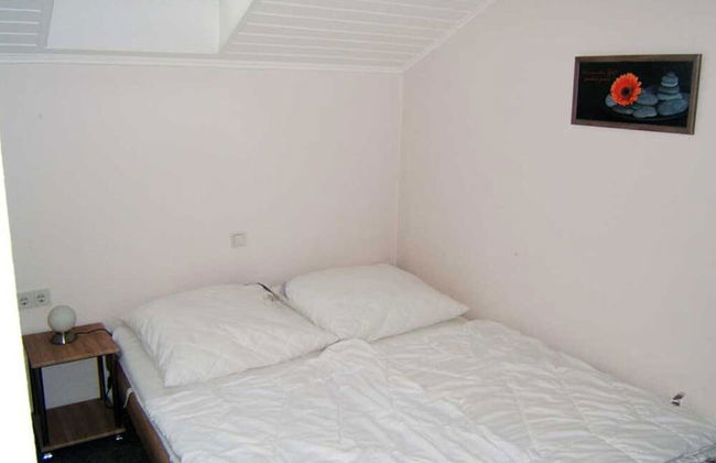 "friesenhorn" 31 Merchant - Foto 3