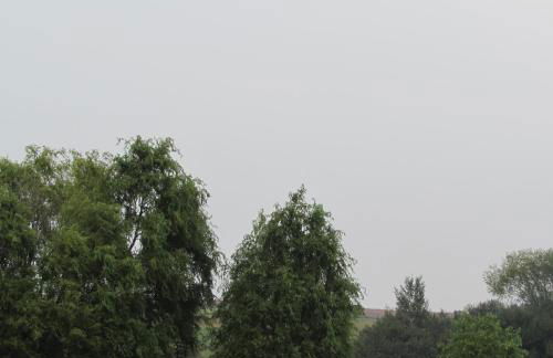 Ferienwohnung "Eifelstueffje" - Foto 82