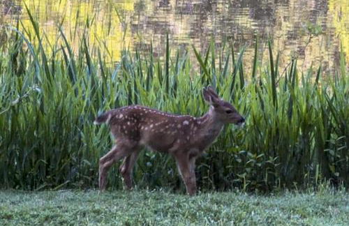 Leisure Lakehouse - Foto 31