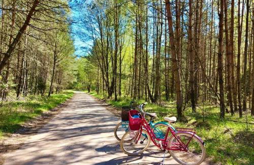 Jak Tu Ładnie - wyjątkowe miejsce z atrakcjami na rodzinny wypoczynek nad jeziorem, Mazury - Foto 43