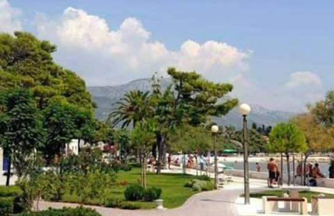 Apartment Olive - Photo 62