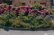 GÎTE NOTRE-DAME 3p - Foto 1