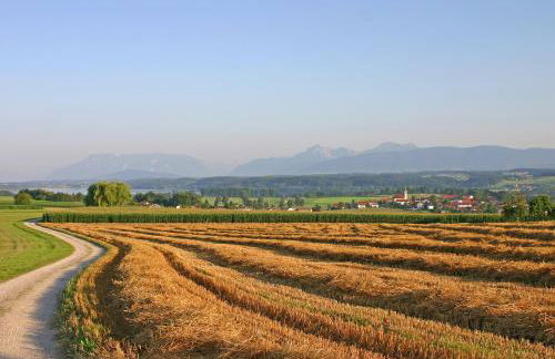 Ferienwohnung Alpenblick - Photo 19