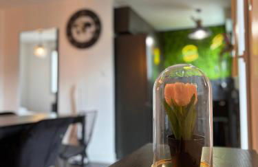 Charmant appartement Toulouse - Foto 6