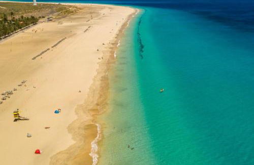 Amsterdam Lovely - Photo 68