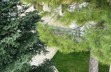 Alonaki House - Foto 47