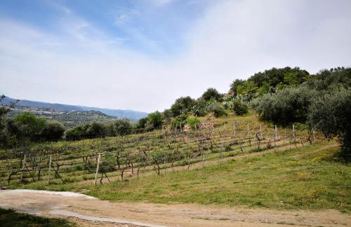 Villa L'Oleandro - Foto 55