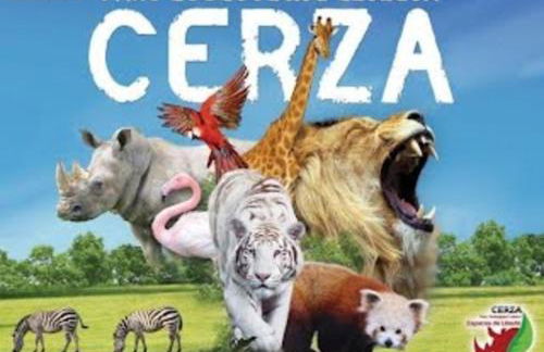 CHIC & ELEGANT - Au Coeur de la Ville - Photo 19