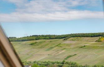 Roussel Hotel Restaurant - Photo 78