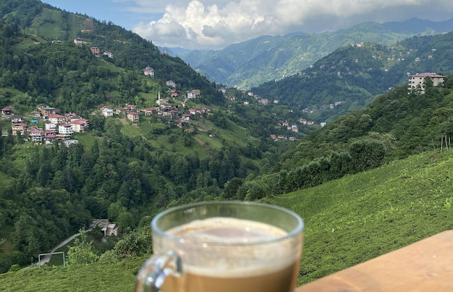 AFRAM BUNGALOV - Foto 20