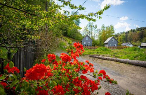 Domki u Sosny - Nowoczesne domki na wyłączność, spokojna okolica blisko lasu i szlaku, 1,2 km od centrum Brennej - Foto 33
