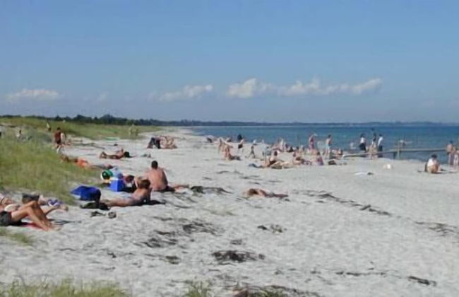 Køge Bed and Kitchen-Apartment - Foto 36