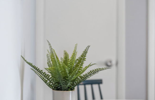 881 Furnished Apartments - Foto 41