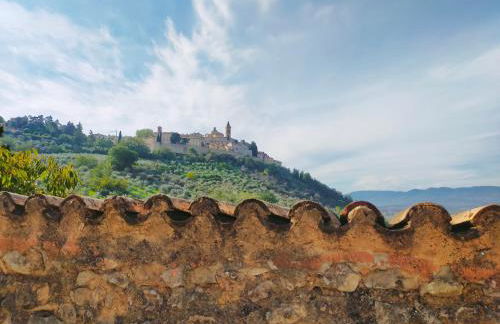 MancioBiba Home - Foto 64