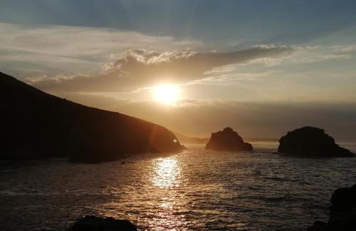 Jardín San Pelayo - Foto 48