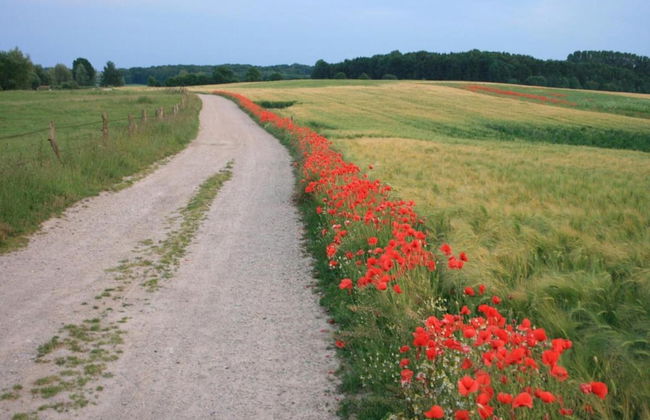 Peaceful Apartment in Klütz Germany near Boltenhagener Beach - Foto 33