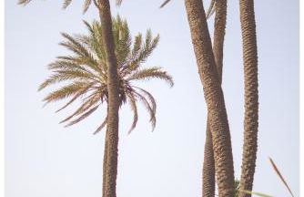 Casa Marlene - Foto 50