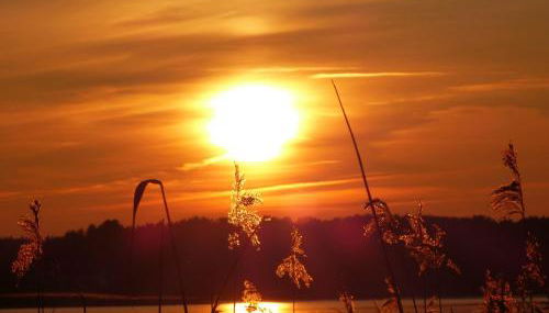 Seeadler - Ferienwohnung - Foto 5