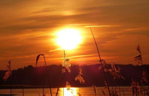 Seeadler - Ferienwohnung - Foto 5