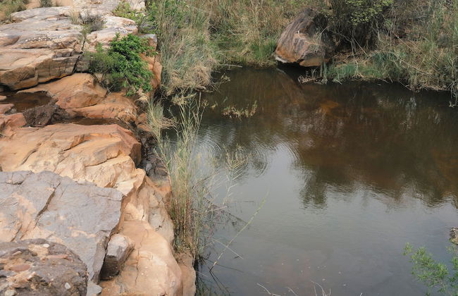 Buccara Waterberg - Molapo - Photo 74