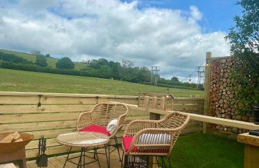 Coedydd - Woods - Foto 15