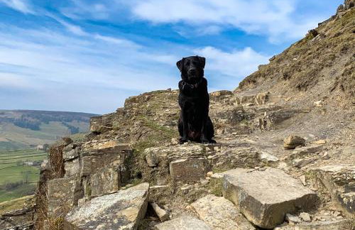 A D Coach House Cottage - Foto 18