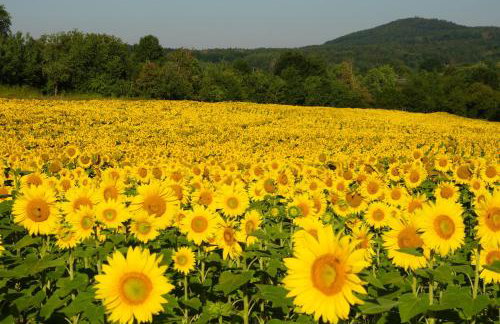 FeWo Die Dittrichs - Photo 21