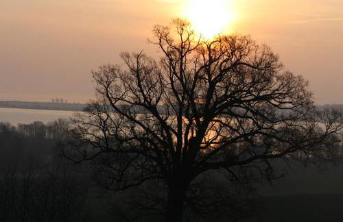 Reethus Stöfs - Foto 31
