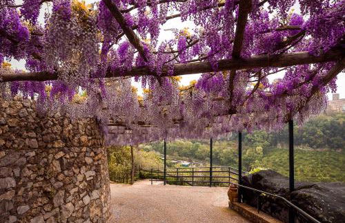 Villa San Lorenzo - Photo 38