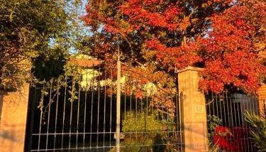 Casa Biloba - Foto 4