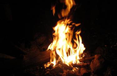 Agroturystyka Sosnowy Gaik - Foto 23