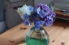 Ferienwohnung Bachstelze mit privater Terrasse - Foto 38