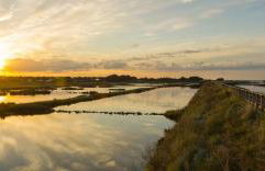 2 adultes 2 enfants - Pointe de l'île de Noirmoutier - Foto 15