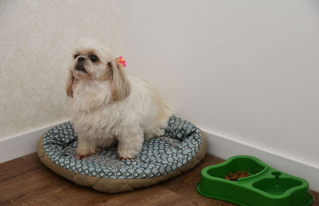 Vila do Centro Apart Hotel - Photo 42