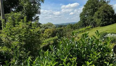 Old Farm Cottage - Foto 3