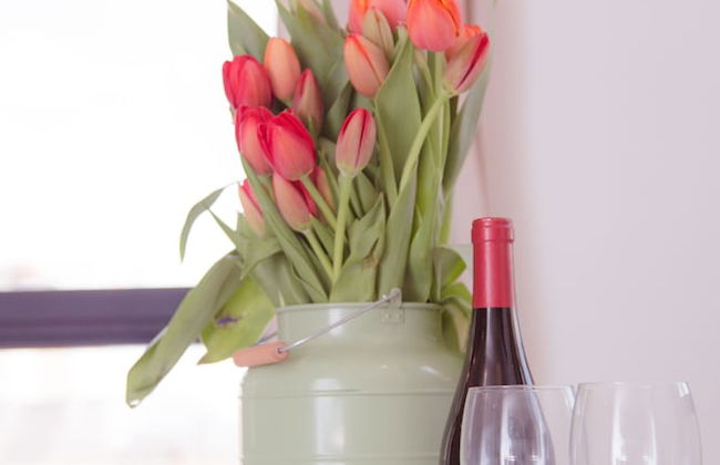 Shenkin Vilmar Apartments - Foto 65