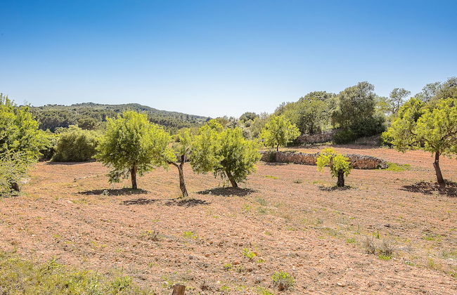 Villa Son Fornes - Foto 53