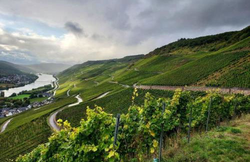 Holiday Apartment Falkenlay - Foto 43