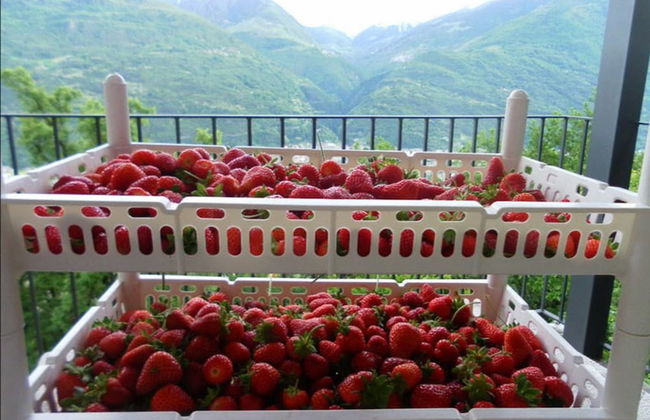 Agriturismo da Ysy - Foto 24