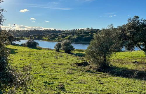 Herdade Terra rica - Photo 28